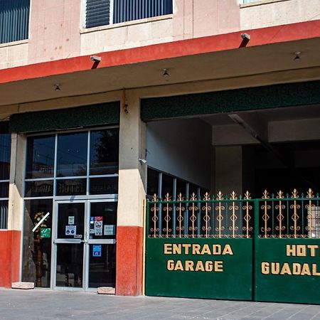 Hotel Guadalajara Σαν Λουίς Ποτοσί Εξωτερικό φωτογραφία