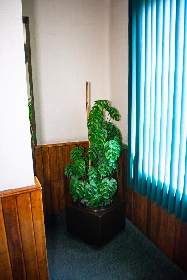 Hotel Guadalajara Σαν Λουίς Ποτοσί Εξωτερικό φωτογραφία